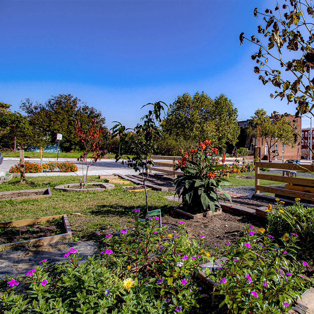 Midway Park Ⓒ Edward Weiss for the Central Baltimore Partnership